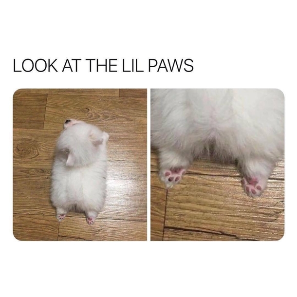Its too much
