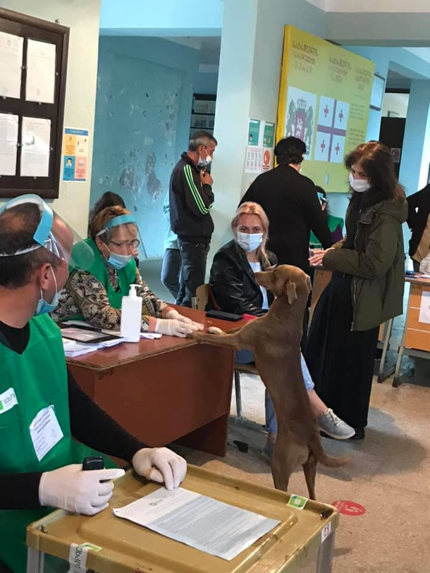 Its Very Impawrtant Elections in Georgia Today