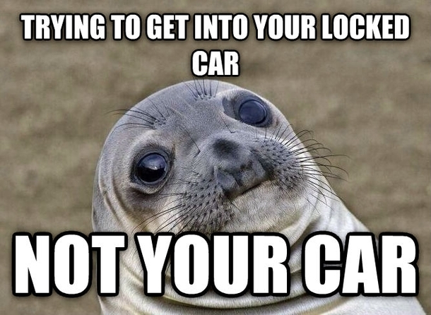Its worse when the owner walks up