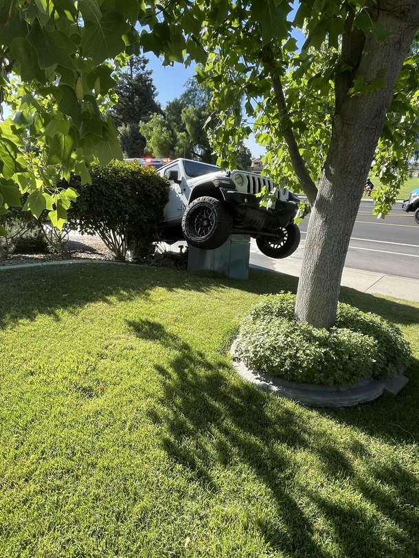 itsajeepthing in my front yard
