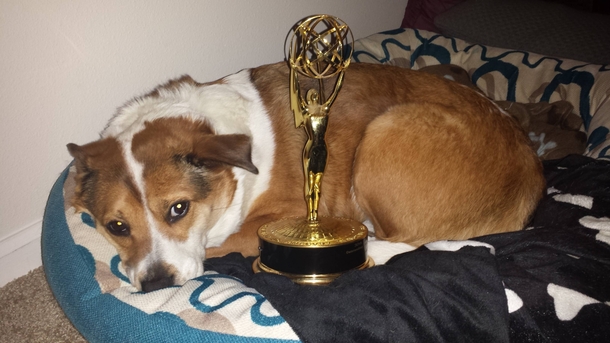 Ive also won an Emmy but my dog guards it