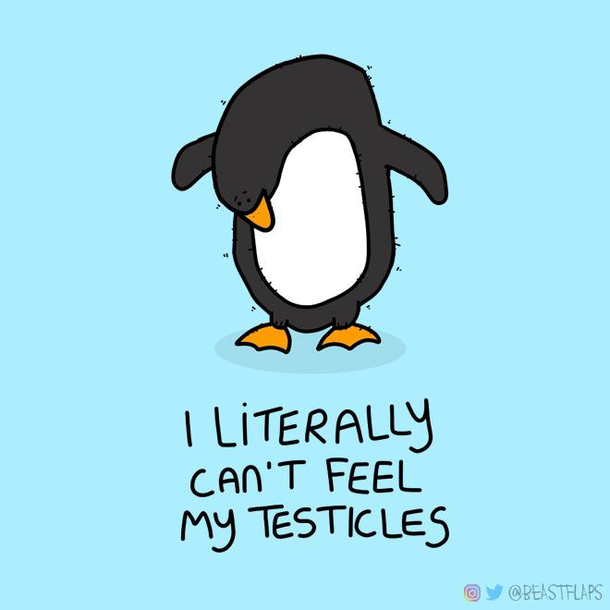 Ive been drawing a new grumpy animal every day for  days and I worry that its now starting to affect me with  days to go