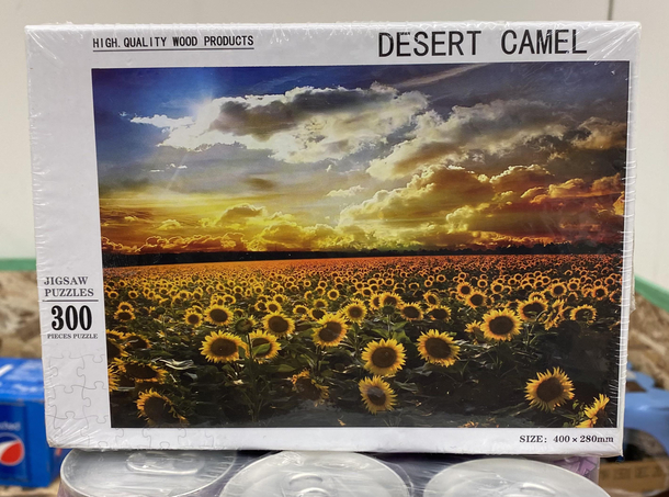 Ive been looking for a while now and still cant find the damn camel