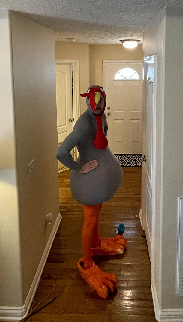 Ive been plucked and stuffed