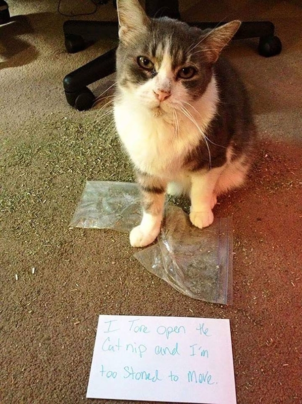 Ive been there kitty Ive been there