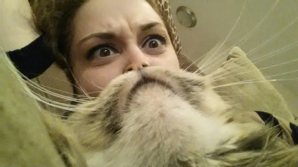 Ive finally grown a cat beard