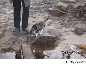 Ive got this