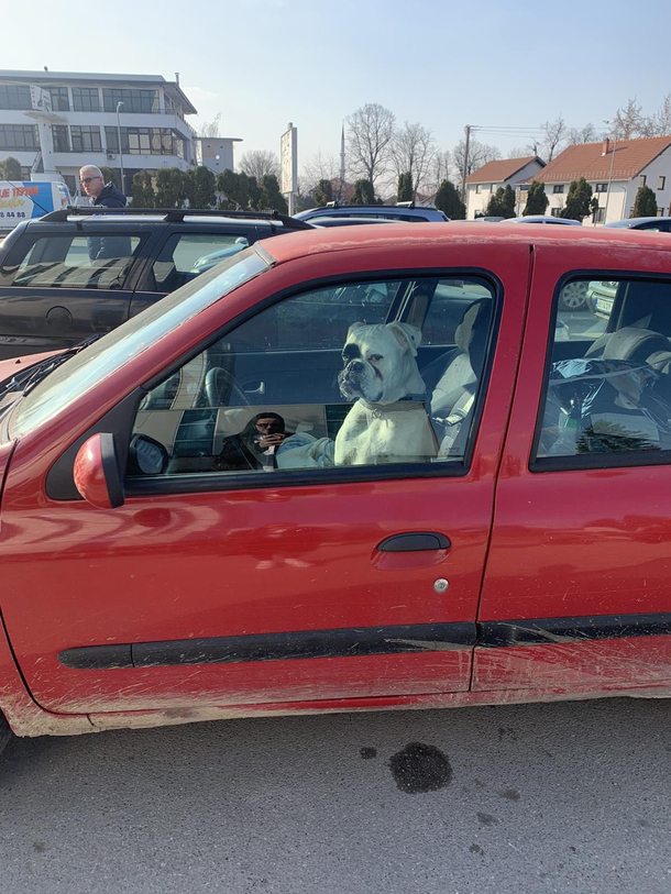 Ive had enough of this traffic