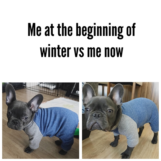 Ive never related to my dog more than today