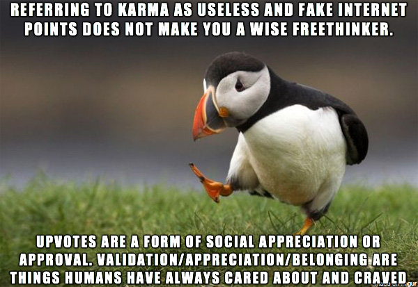 Ive seen a lot of disdain toward karma and people who supposedly care about it too much recently