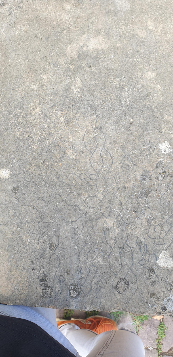 Ive stumbled into these ancient hieroglyphics 