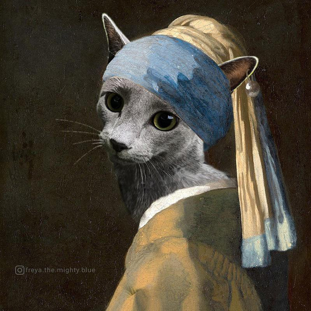 Ive turned my kitty into a lady with a pearl earring she fits so perfectly