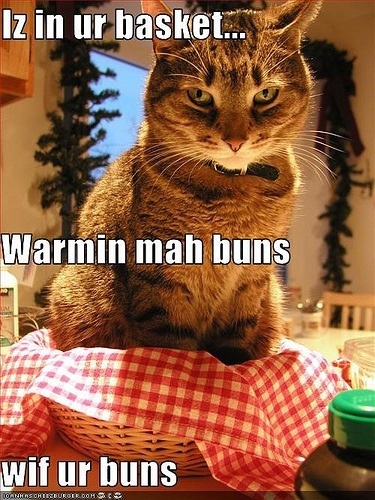 iz in ur basket