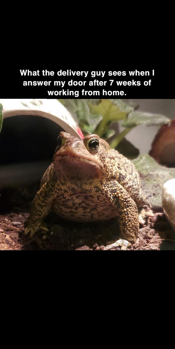 Jabba the Hutt noises
