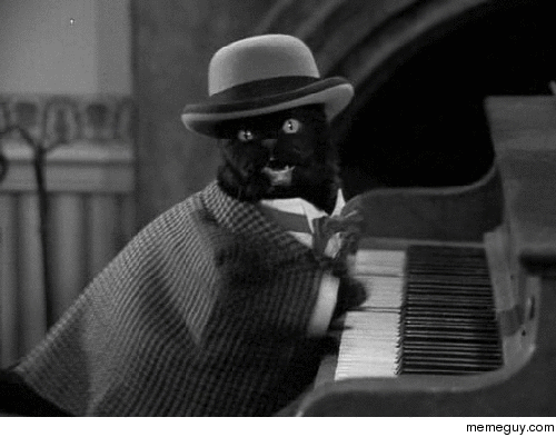 Jazz Cat stares into your soul