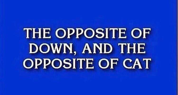 Jeopardy at it again