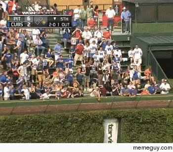 Jerk at a baseball game