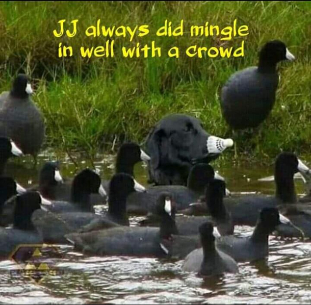 JJ is a funny guy