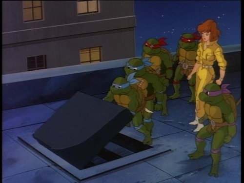 Job  Draw  different turtles Job  Remember Job 