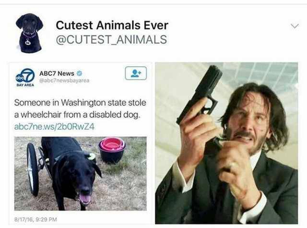 JOHN WICK CHAPTER  - OK THATS IT  AAAAHHHHHHHH 