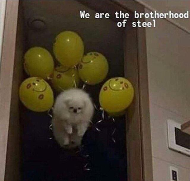 Join brethren