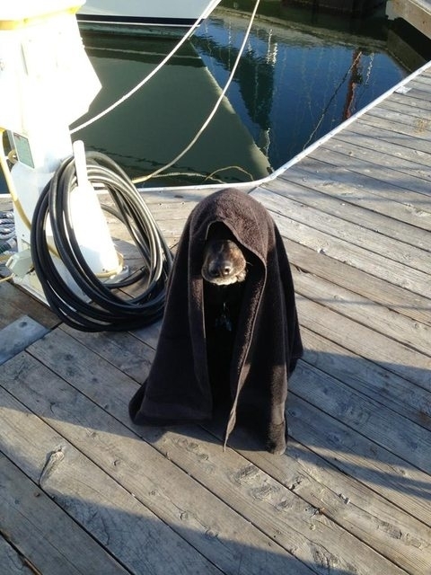 Join the dock side