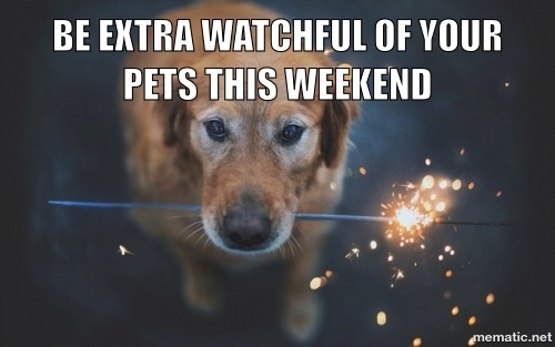 July th weekend is by far the busiest time of year at emergency animal clinics