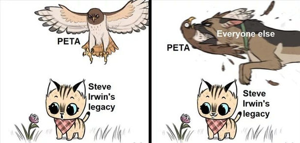 Jumping on the Peta Hatewagon Original artwork credit Ben Hed  Pet FooleryIG