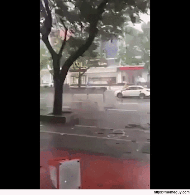 Just a casual day with an umbrella
