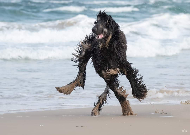 Just a casual walk at beach