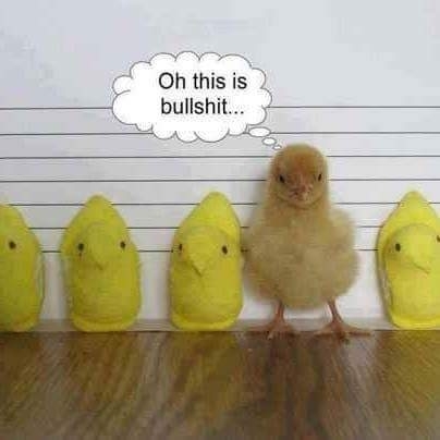 Just a cheep shot