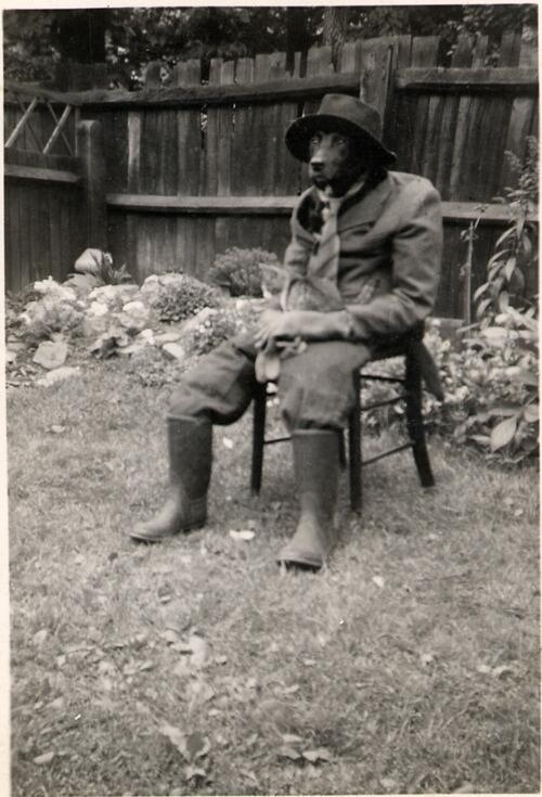 Just a dog dressed as a man with his pet cat