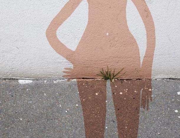 Just a little bush