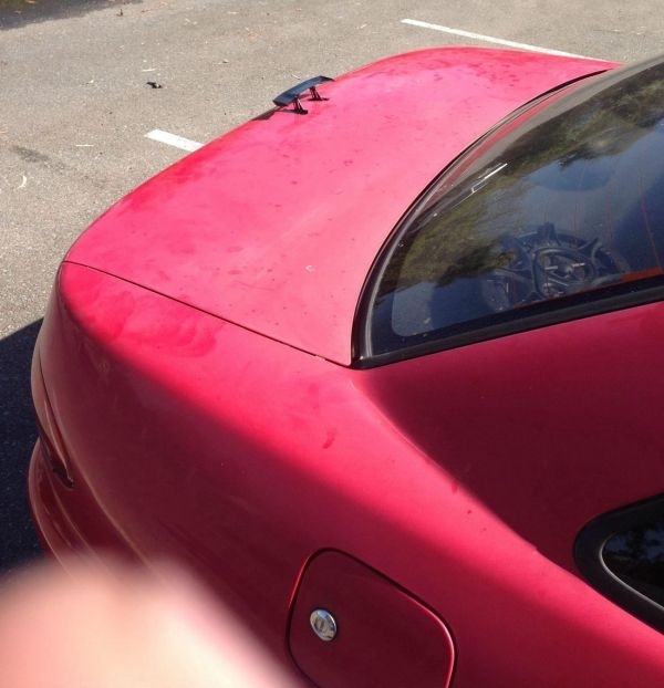 Just a little downforce is all it needs
