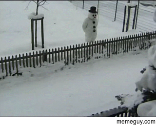 just a ordinary snow man