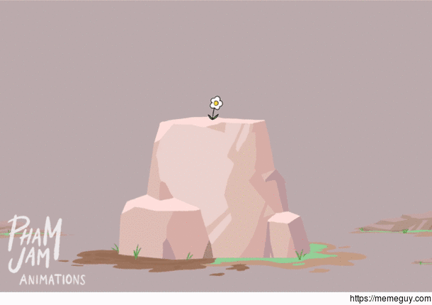 Just a regular old rock