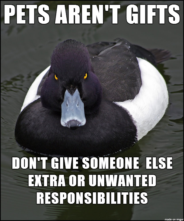 Just a reminder for the upcoming holidays