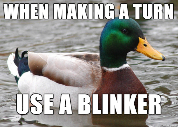 Just a typical mallard