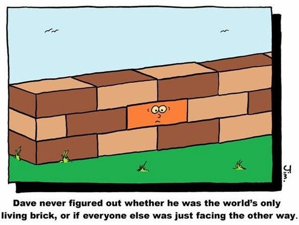 Just another brick