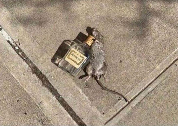 Just another day in New York City
