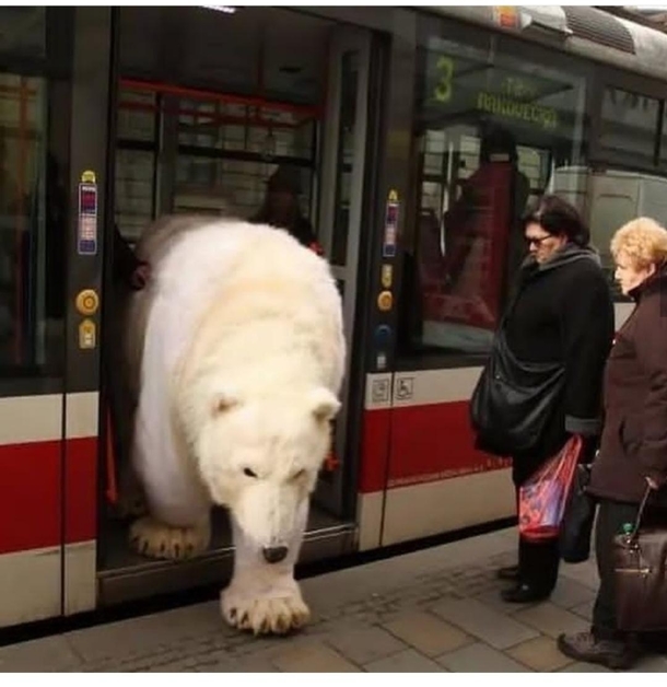 Just another normal day in Russia