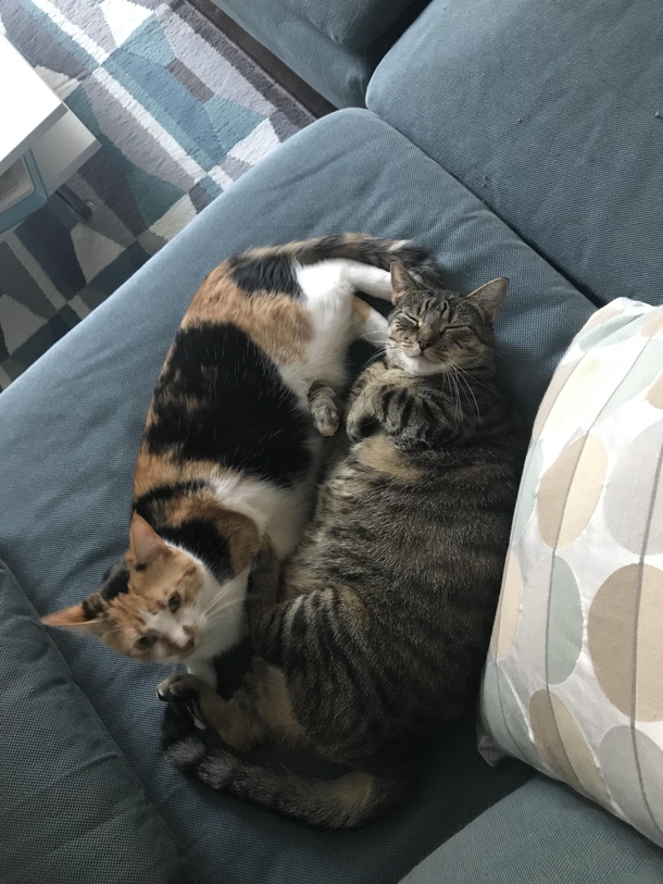 Just being fat