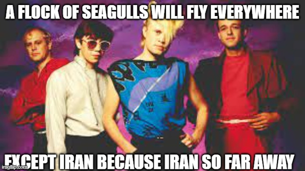 just bird facts