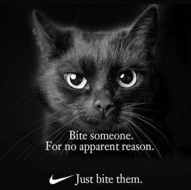 Just bite them