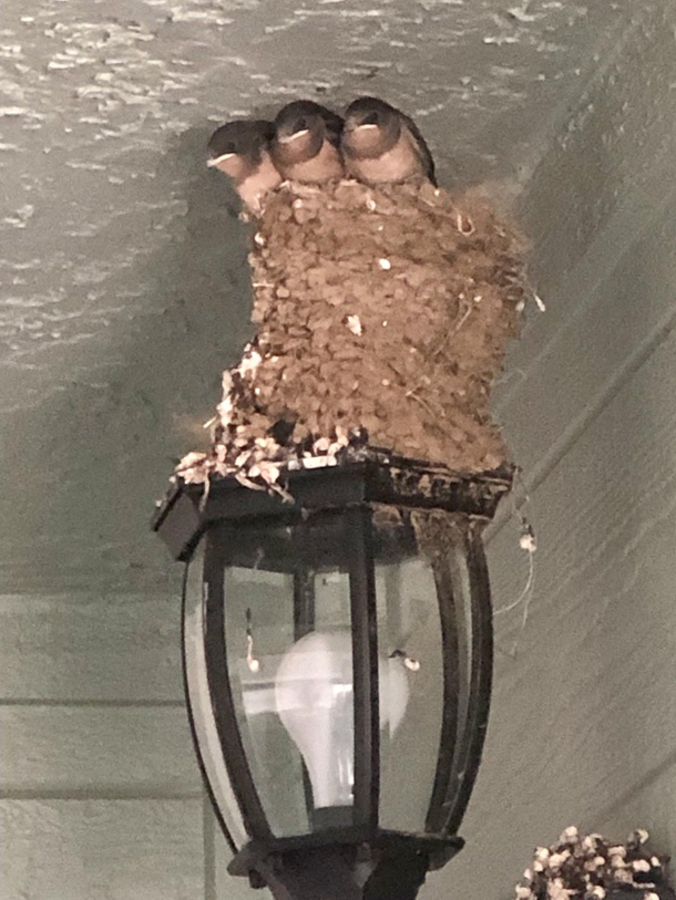 Just bought a house Evidently we have squatters