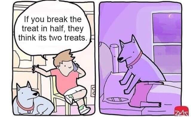 Just break the treat in half