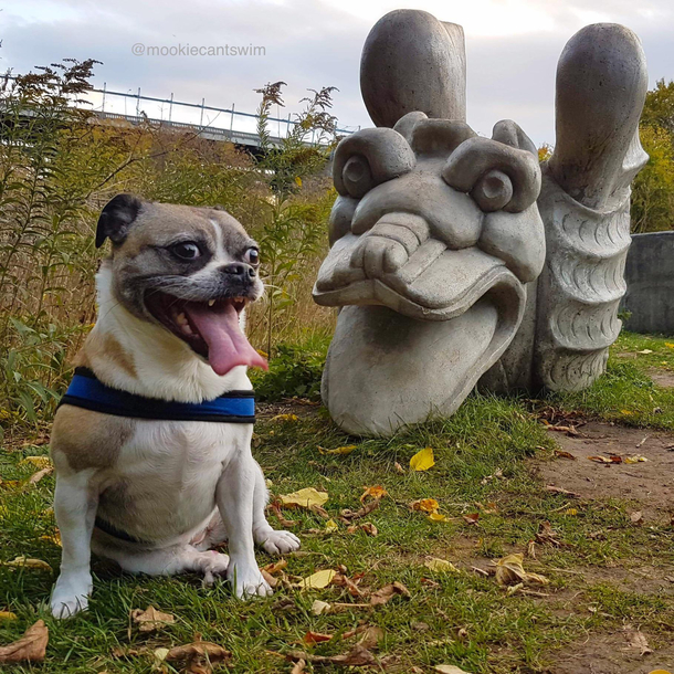 Just catching up with my long lost Uncle Bob