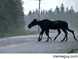 Just crossing the street
