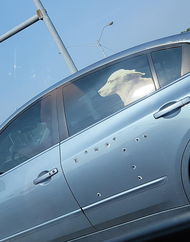 Just cruisin