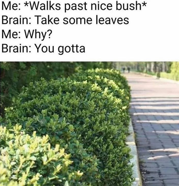 Just DO IT